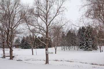 Beautiful winter snow landscape in Finland