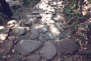 stone path 