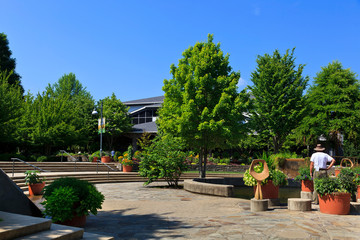North Carolina Arboretum in Asheville in Summer