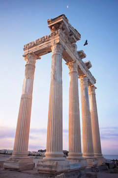 temple of apollo
