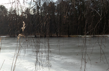 Widok na zamarznięty staw przez bezlistne gałązki © Seance_Photo_Sylwia