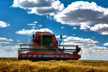 Fototapeta premium Harvest technics. Harvester. Farmland, sloping fields on a bright and Sunny day in summer.