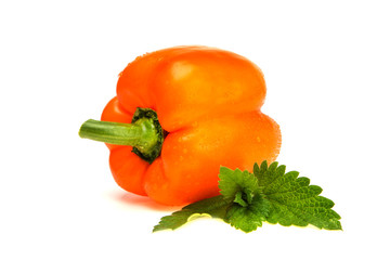 pepper paprika