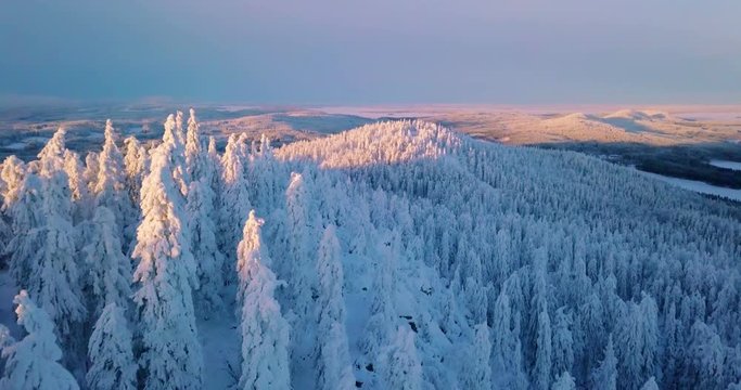 Aerial winter nature nordic landscape snowy mountain forest and lake on sunset