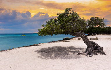 sunset beach in Aruba