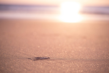On the Beach