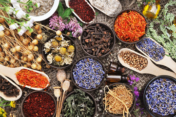 Medicinal flowers and herbs background, selective focus, toned	