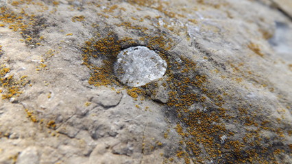 encased quartz