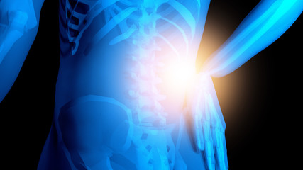 x ray 3d rendered skeletal medical illustration