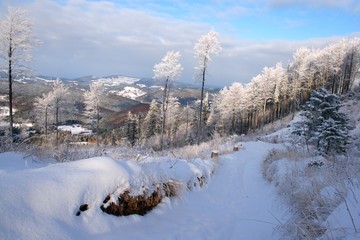 Trail in mountains in winter, Beskid Żywiecki, Carpathians, Poland