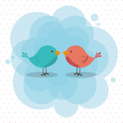 cute and little birds couple