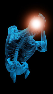 x ray 3d rendered skeletal medical illustration