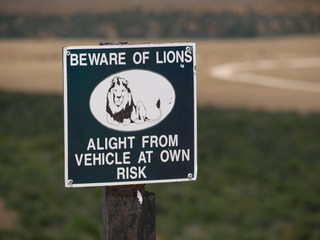 Beware of lions