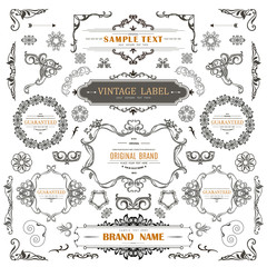 Set of Vintage Decorations Elements.