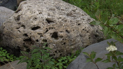 Field stone