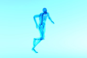 x ray 3d rendered skeletal medical illustration