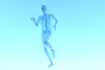 x ray 3d rendered skeletal medical illustration
