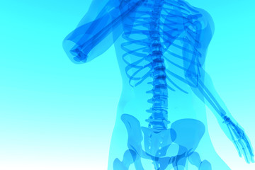 x ray 3d rendered skeletal medical illustration
