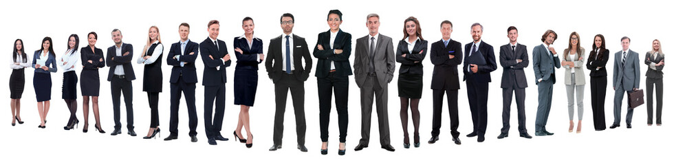 panoramic photo of a professional numerous business team