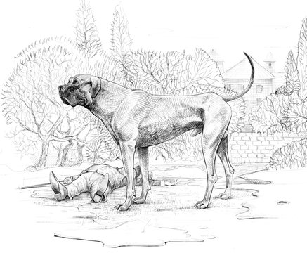 The Hound of the Baskervilles. Big dog drawing. 
