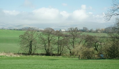 Grüne Landschaft England