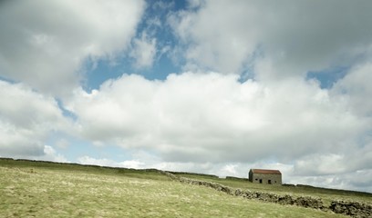 Grüne Landschaft England