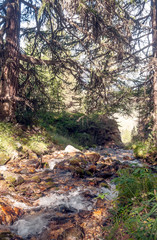 River in the mountains of the Swiss Alps in the Saint Luc valley on a sunny day.