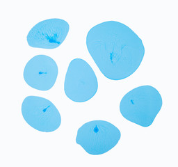 Abstract blue background white view macro microbe frost cells virus paint acrylic underwater...