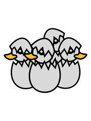 viele geschwister brüder freunde ei schlüpfen frisch geschlüpft küken huhn baby vogel kleines kind süß niedlich comic cartoon clipart ente design