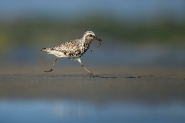 Eating on the Run