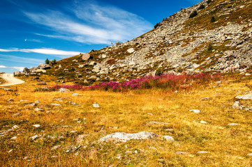 Mountains of the Swiss Alps in the Saint Luc valley on a sunny day.