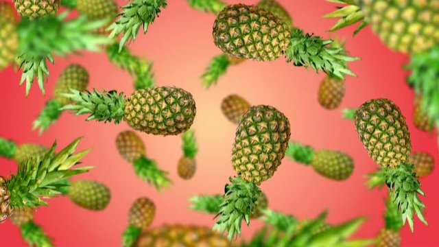Pineapples falling down on red background. 4k video.