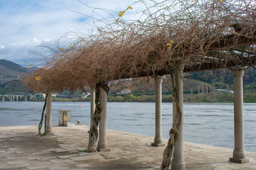 River Douro