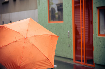 Colored umbrella under the rain