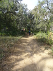 Obraz premium camino