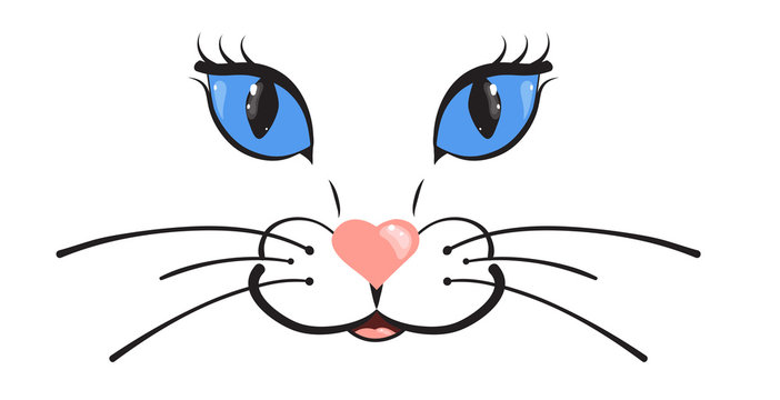 Cute cat muzzle