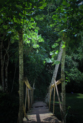 puente