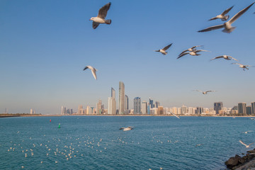 Fototapeta na wymiar Skyline of Abu Dhabi with sea gulls, United Arab Emirates