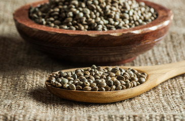 Heap of dried organic hemp seeds or cannabis plant seeds in spoon and bowl on wooden backdrop....