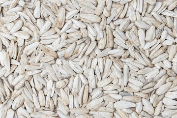 overhead view of white roasted sunflower seeds with spices and salt. for texture or background