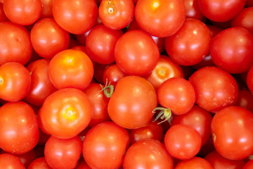 Red fresh shiny tomatoes laying in a pile with some green foliage leaves attached on a farmers market