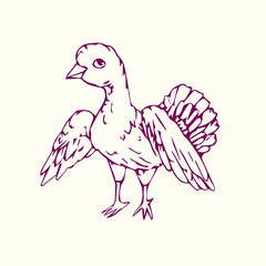Bird hand drawn doodle, sketch in naïve style, outline vector illustration