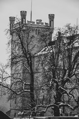 Schloss Lichtenstein in Baden-Württemberg, Deutschland aufgenommen in schwarz-weiß