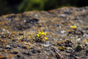 Amazing nature the best artist. Just look around.