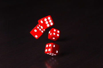 dice are thrown on a dark background. Let's play a diced game.