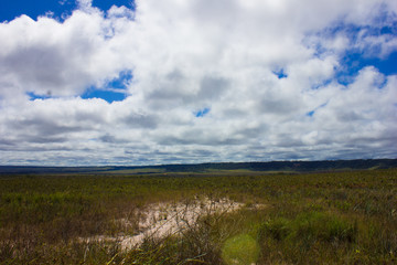 Obraz premium Cielo de nubes sobre paisaje prehistorico en la gran sabana Venezuela