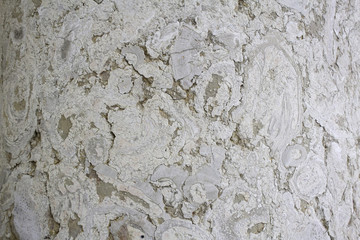 Natural tree texture
