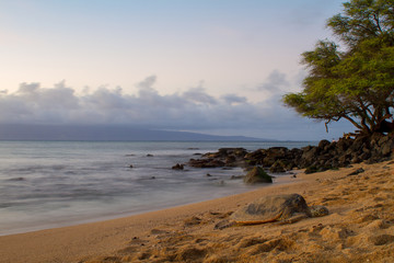 Maui Beach with a Turtle at Sunset