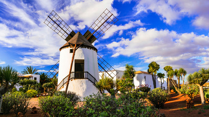 Fuerteventura - traditional windmill in Antigua village. Canary islands - obrazy, fototapety, plakaty