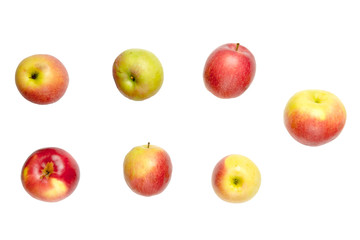 set of different colorful apples isolated white background